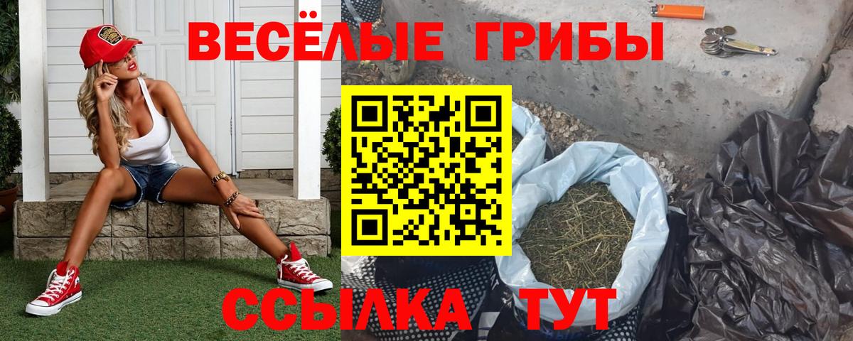 Псилоцибиновые грибы мицелий  Вход с VPN  Дзержинск 